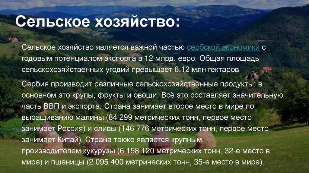 Сельское хозяйство: