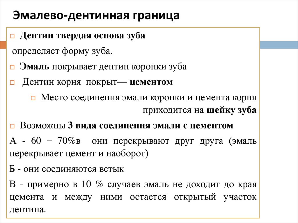 Эмалево-дентинная граница