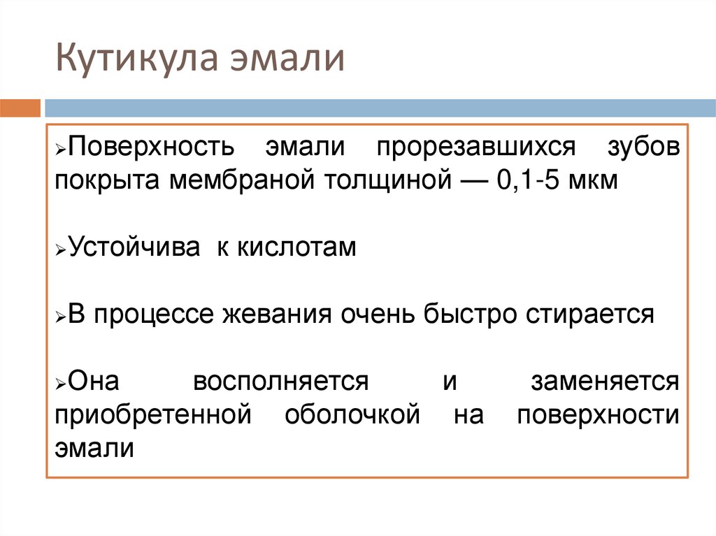 Кутикула эмали