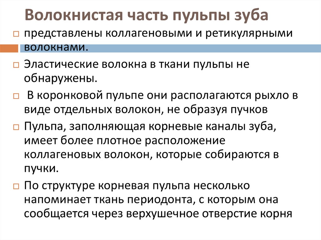 Волокнистая часть пульпы зуба