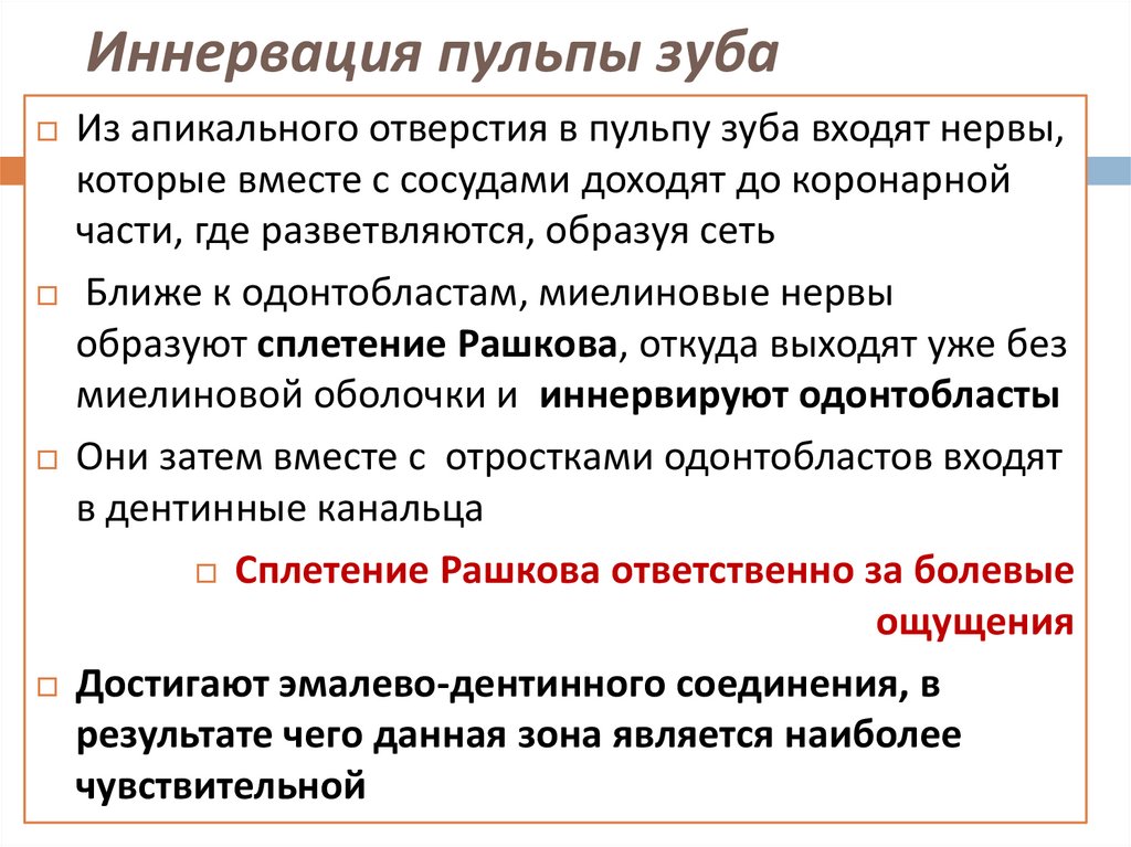 Иннервация пульпы зуба