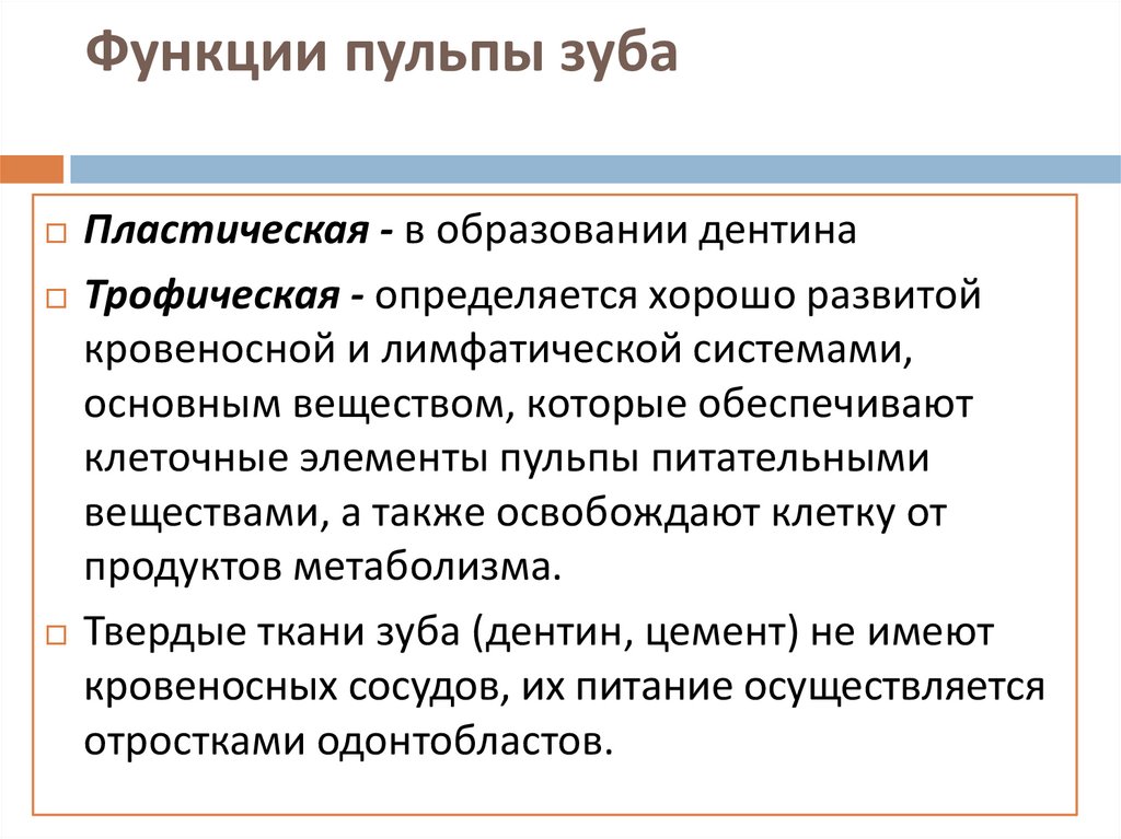 Функции пульпы зуба