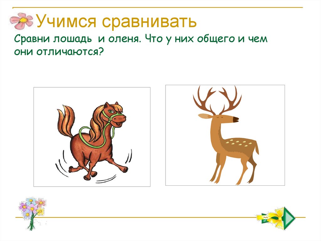 Учимся сравнивать Сравни лошадь и оленя. Что у них общего и чем они отличаются?
