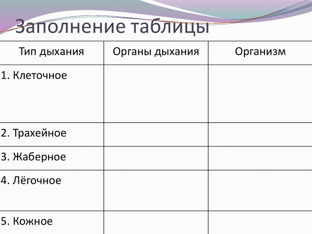 Заполнение таблицы