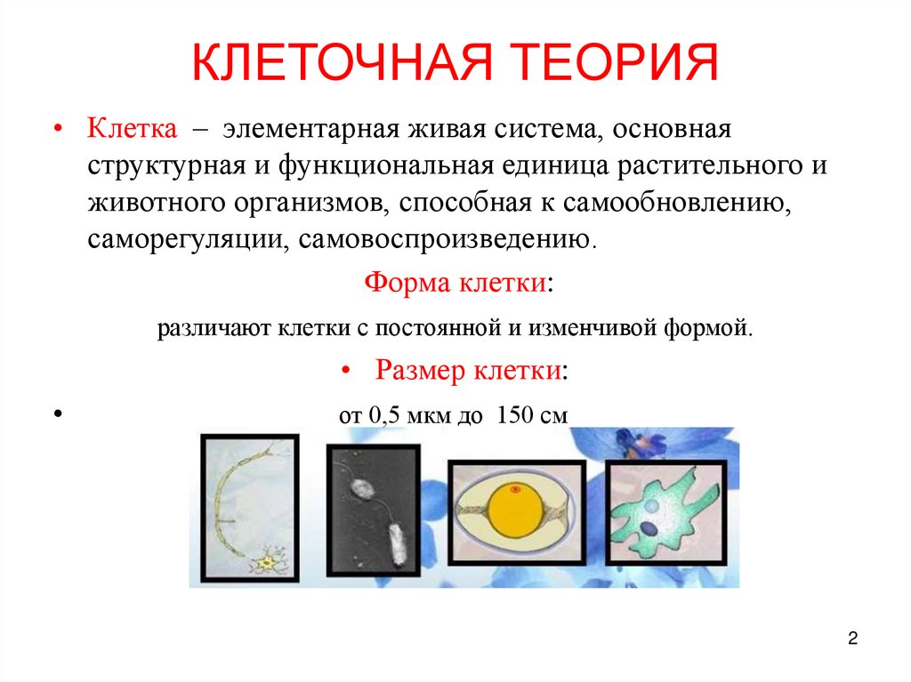 КЛЕТОЧНАЯ ТЕОРИЯ