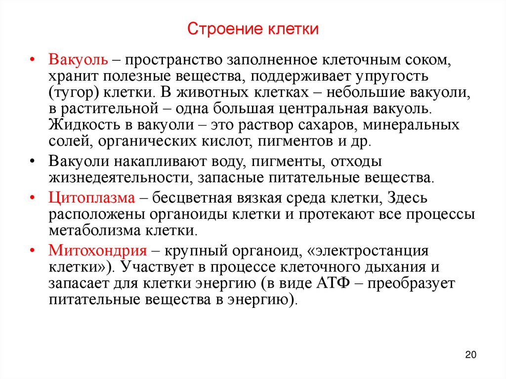 Строение клетки