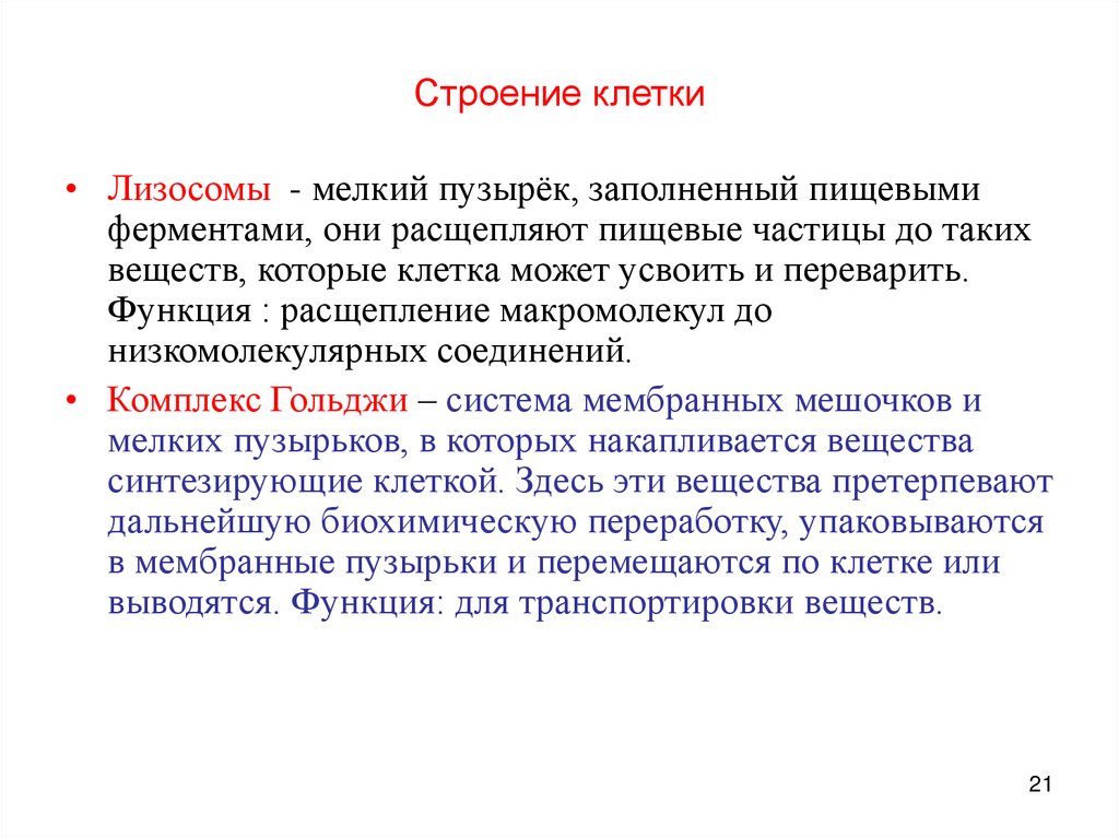 Строение клетки