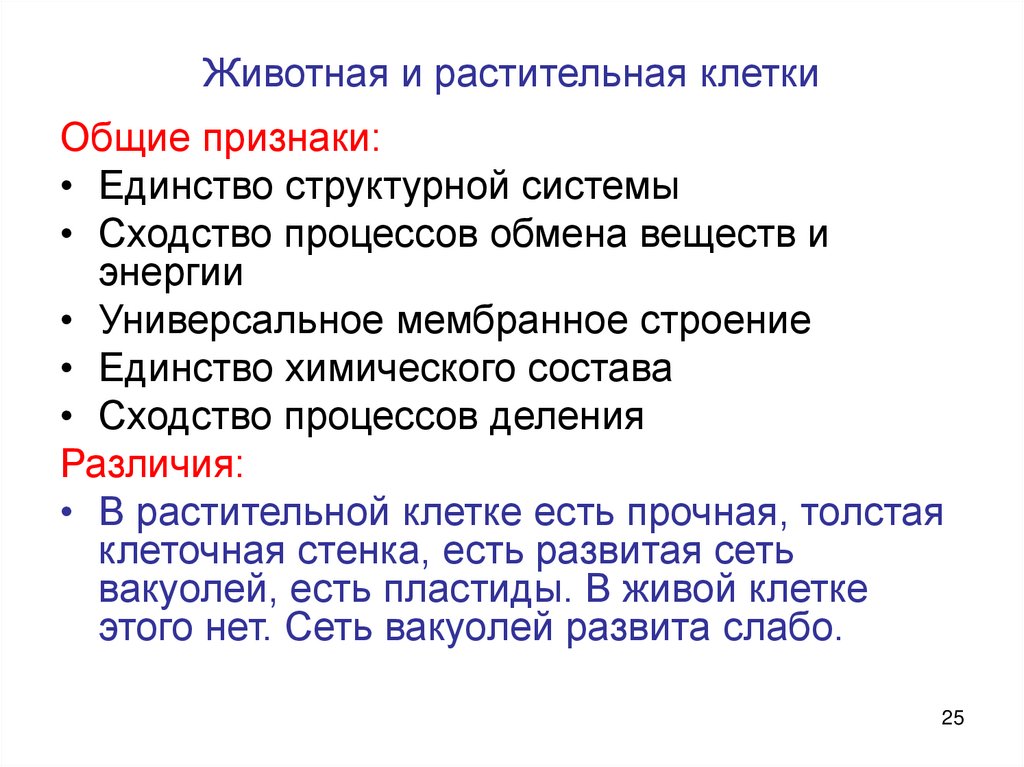 Животная и растительная клетки