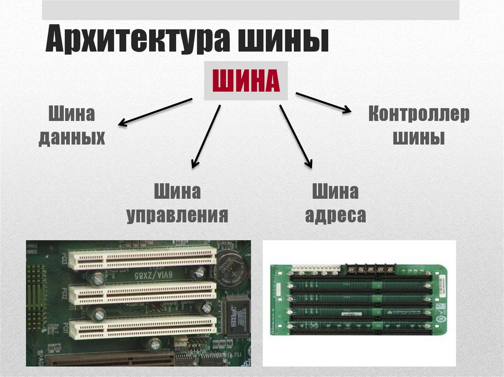Архитектура шины