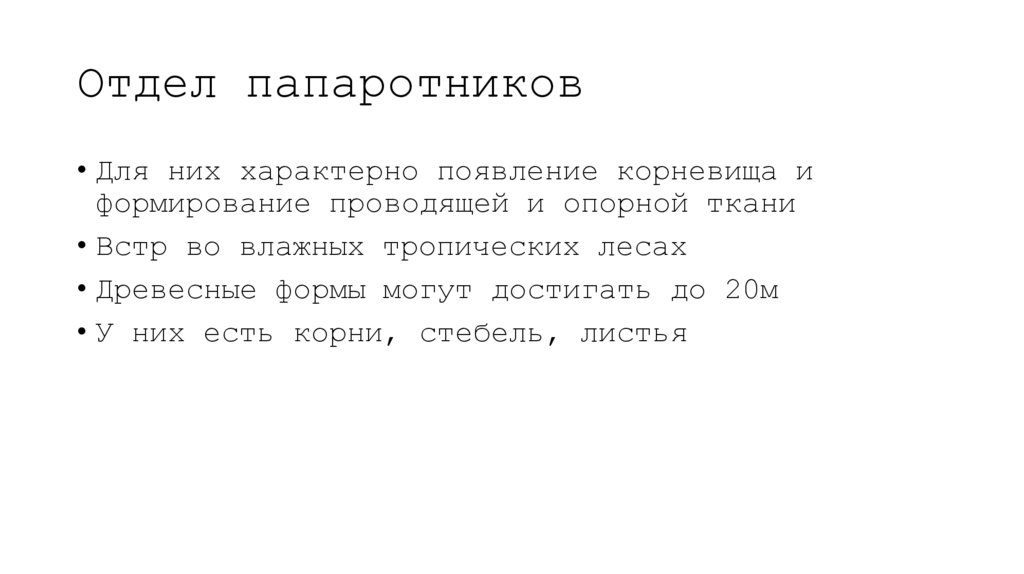 Отдел папаротников