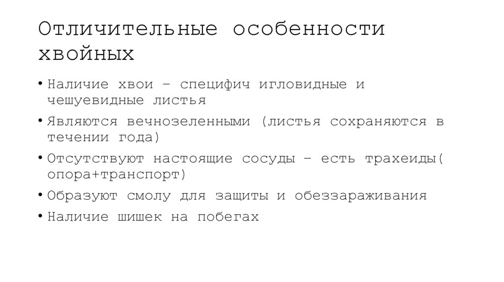 Отличительные особенности хвойных