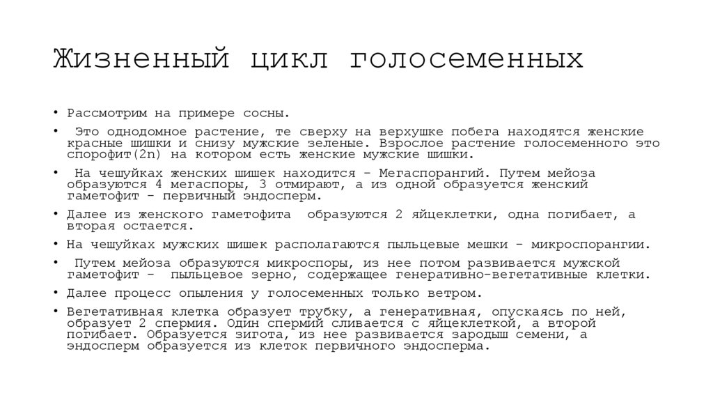 Жизненный цикл голосеменных