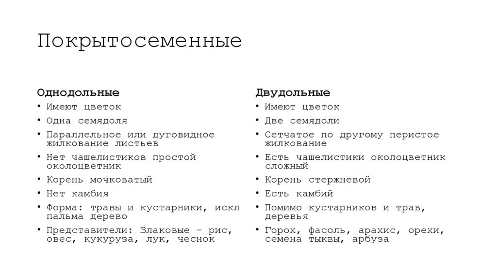 Покрытосеменные