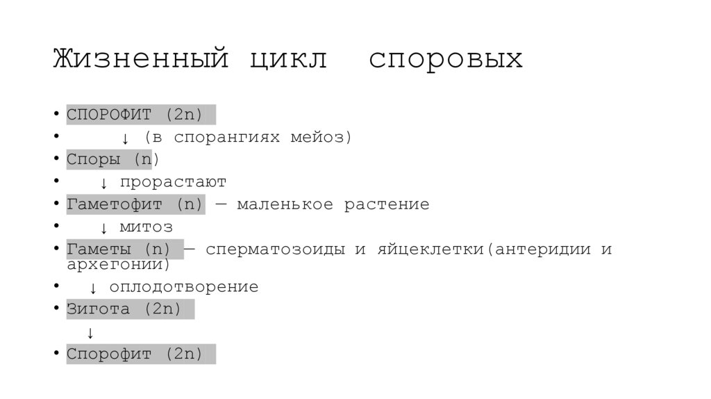Жизненный цикл споровых