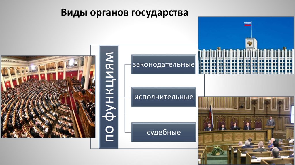 Виды органов государства