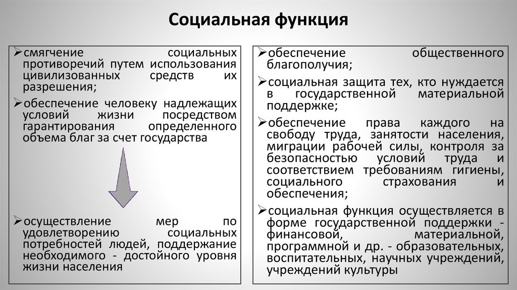 Социальная функция
