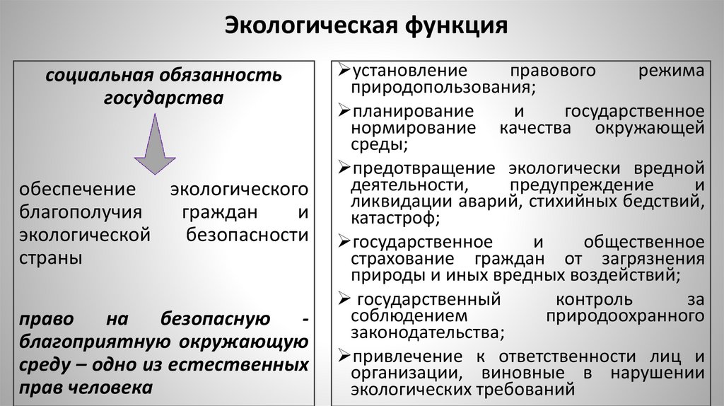 Экологическая функция