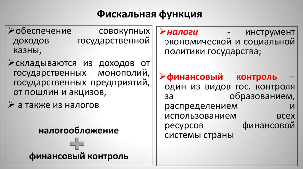 Фискальная функция