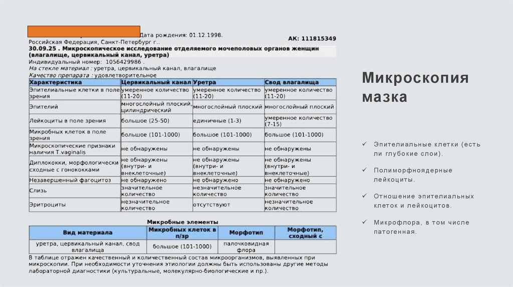 Микроскопия мазка