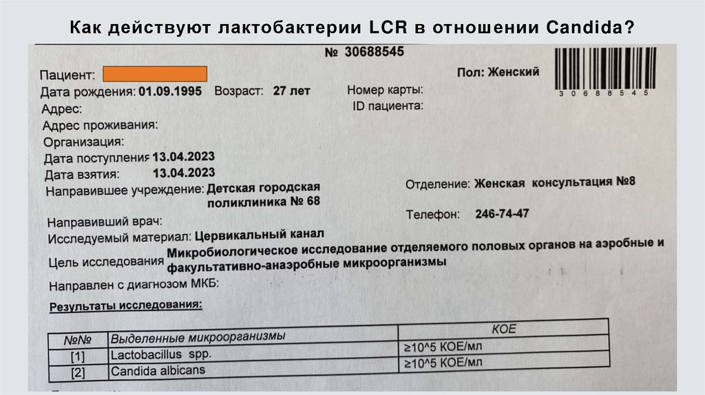 Как действуют лактобактерии LCR в отношении Candida?