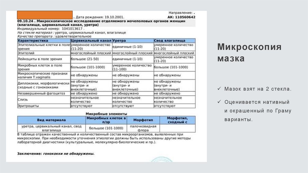 Микроскопия мазка