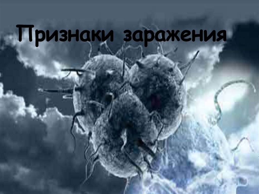 Признаки заражения