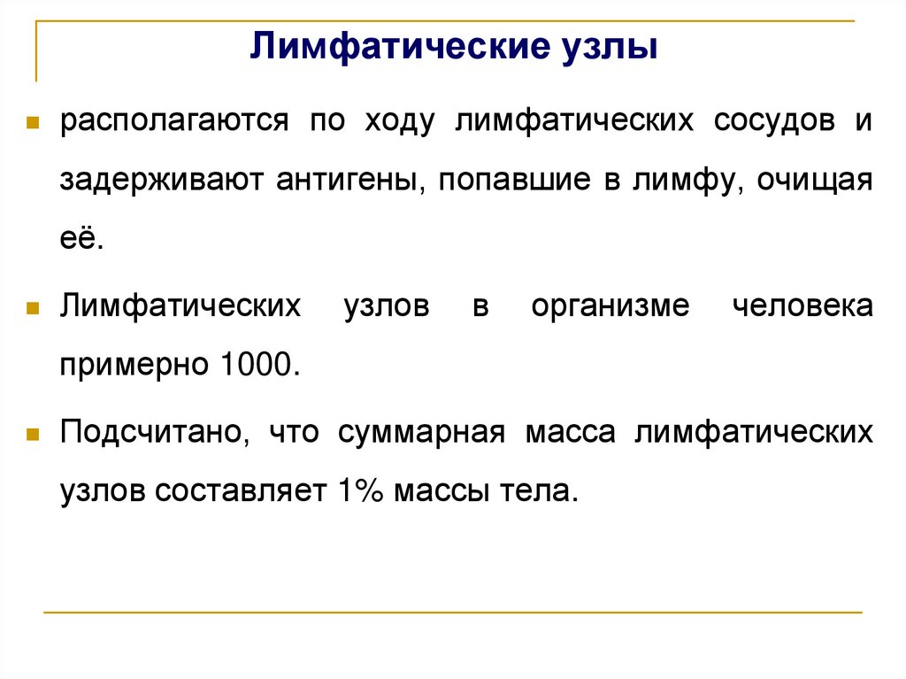 Лимфатические узлы