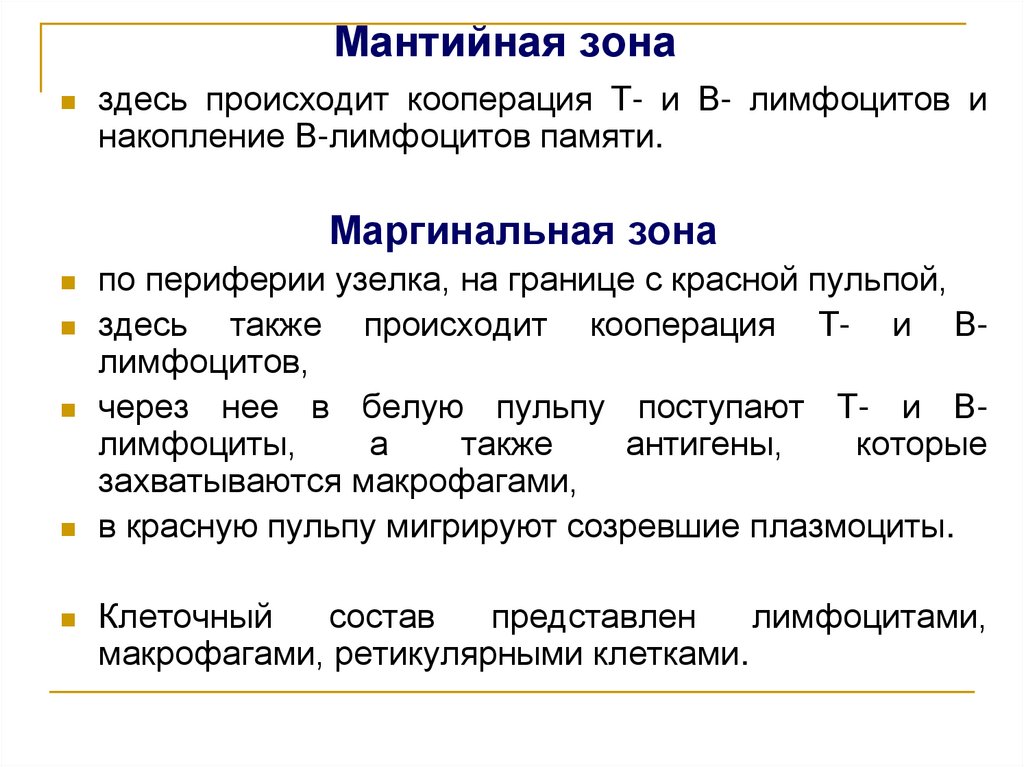 Мантийная зона