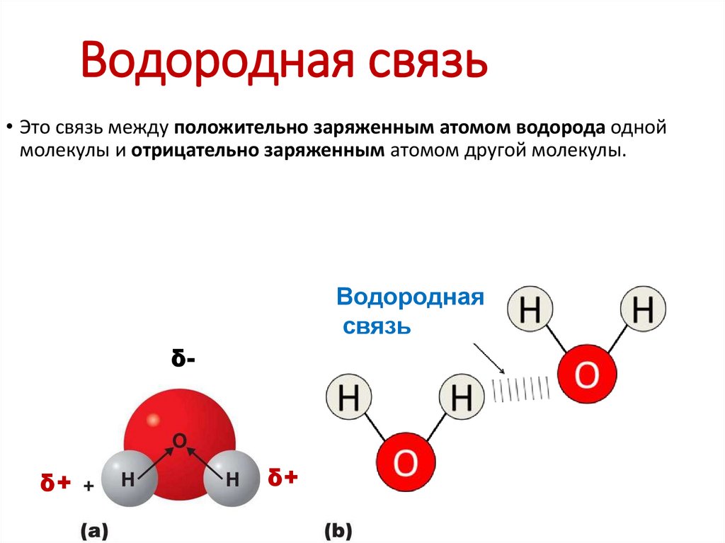 Водородная связь