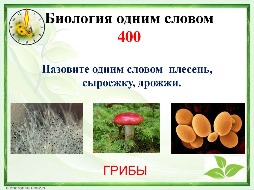 Биология одним словом 400