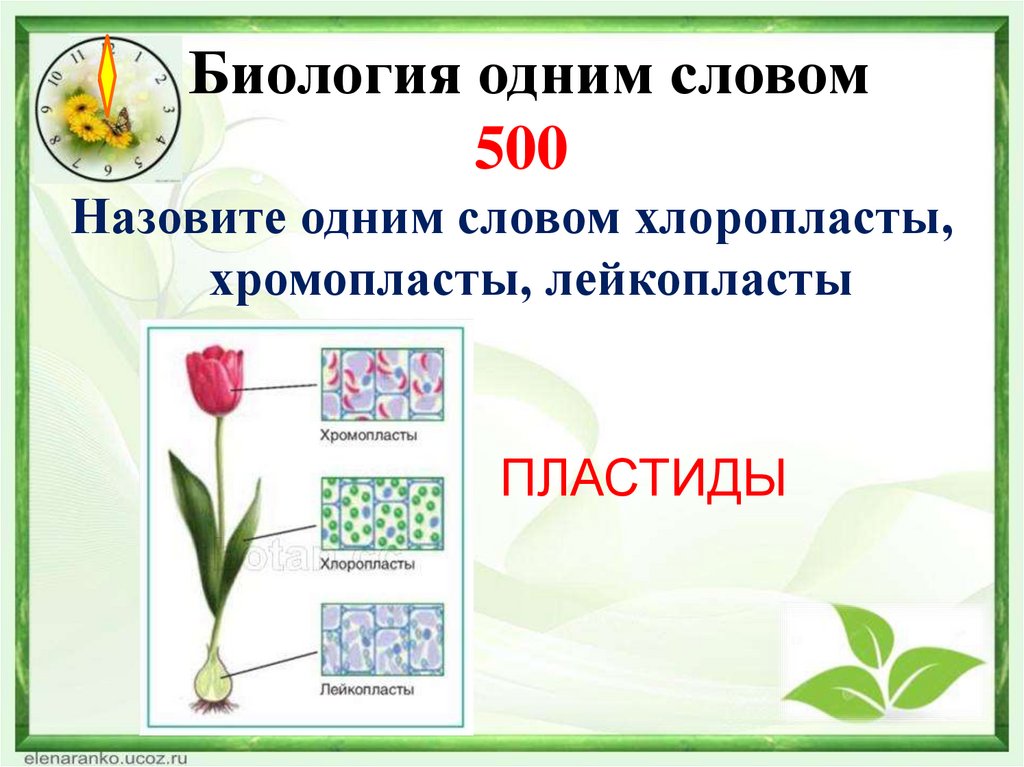 Биология одним словом 500