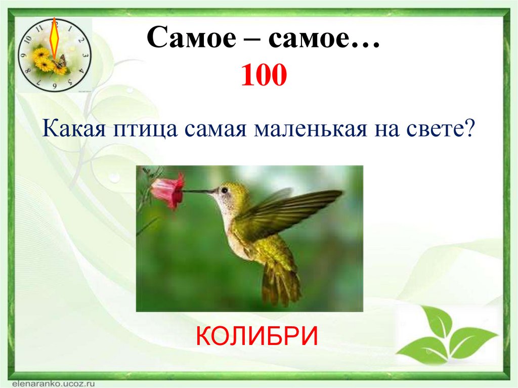Самое – самое… 100