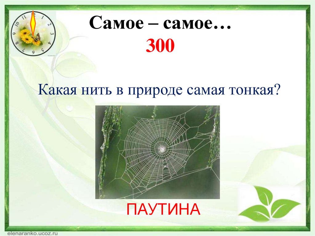 Самое – самое… 300