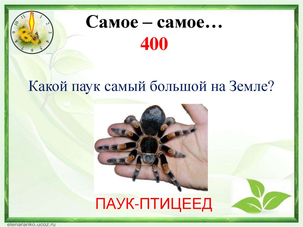 Самое – самое… 400