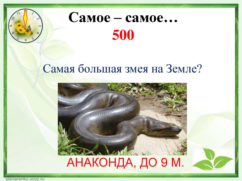 Самое – самое… 500