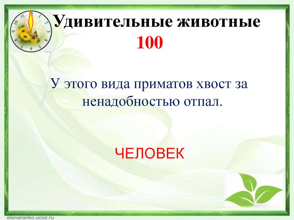 Удивительные животные 100