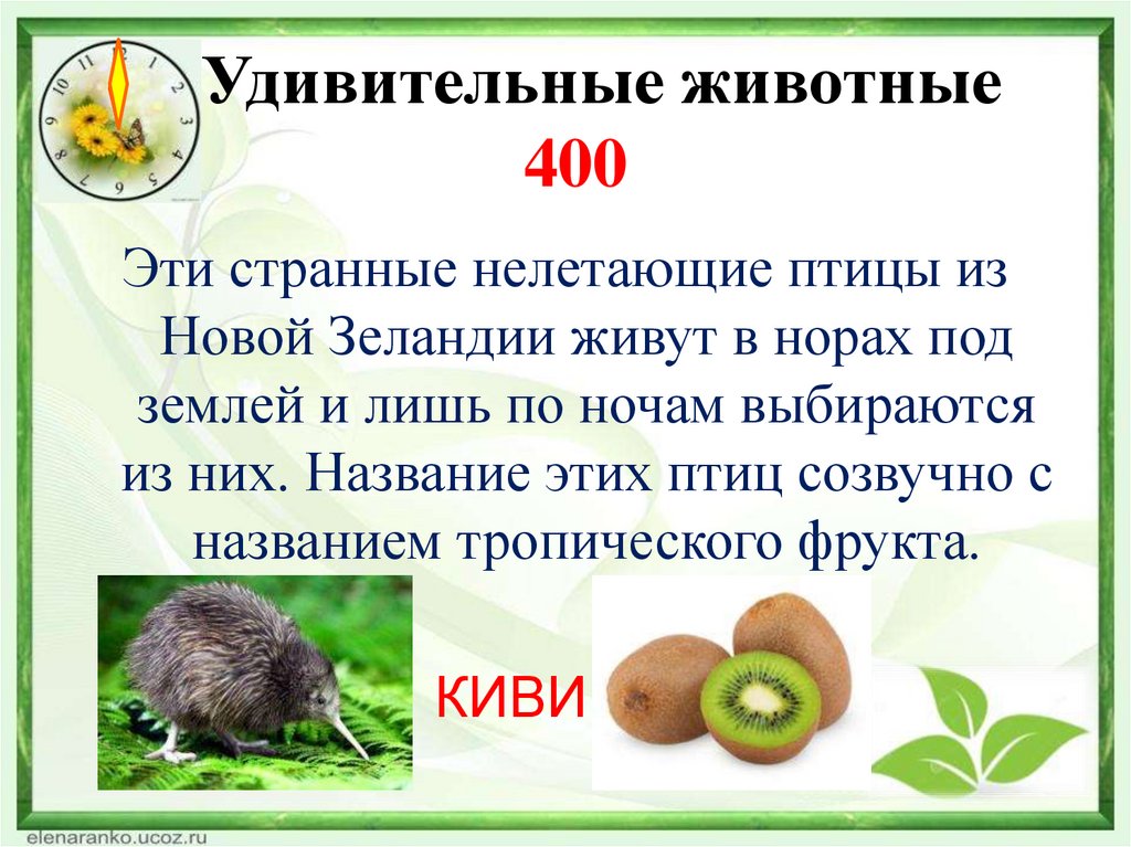 Удивительные животные 400