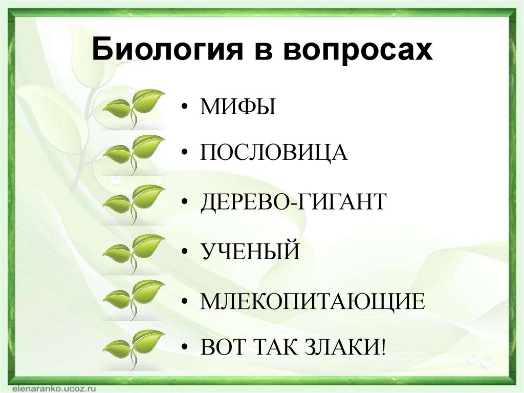 Биология в вопросах