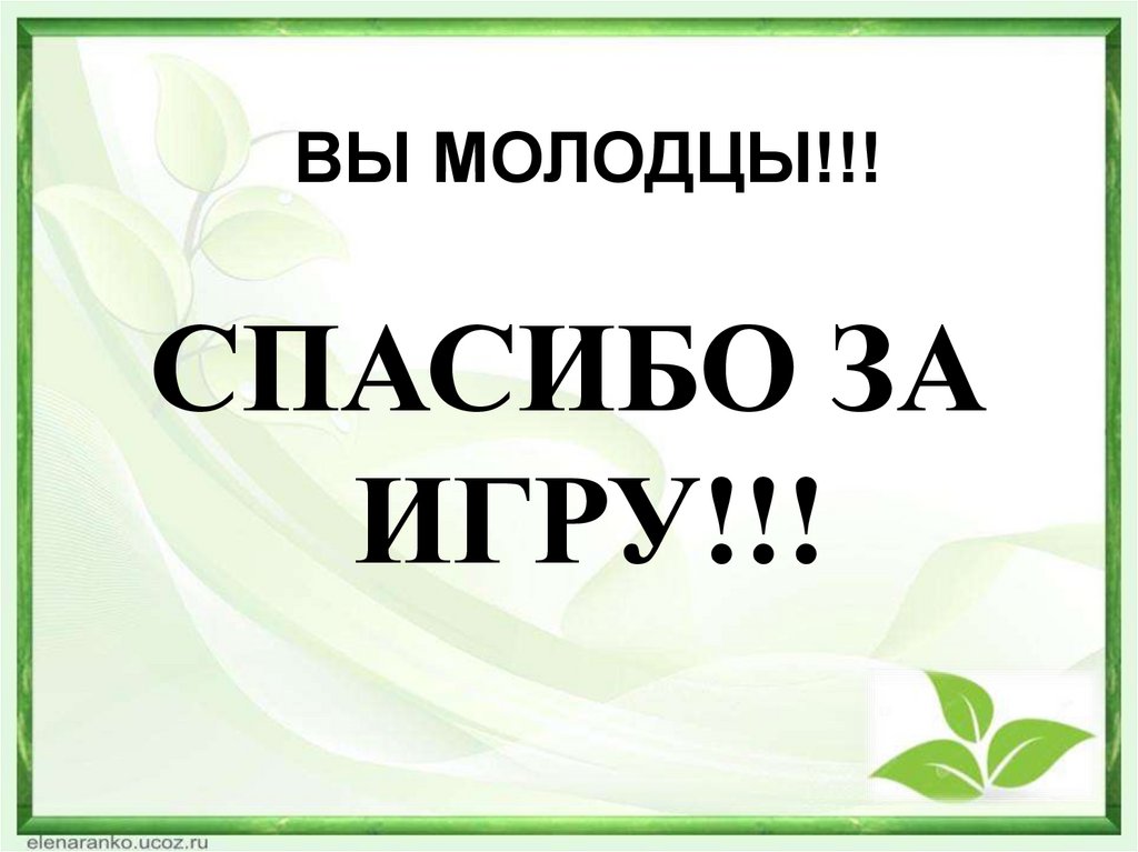 ВЫ МОЛОДЦЫ!!!