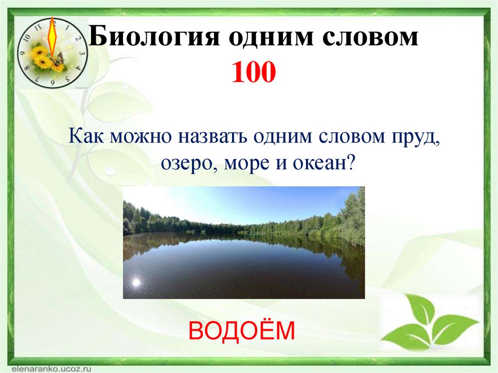 Биология одним словом 100