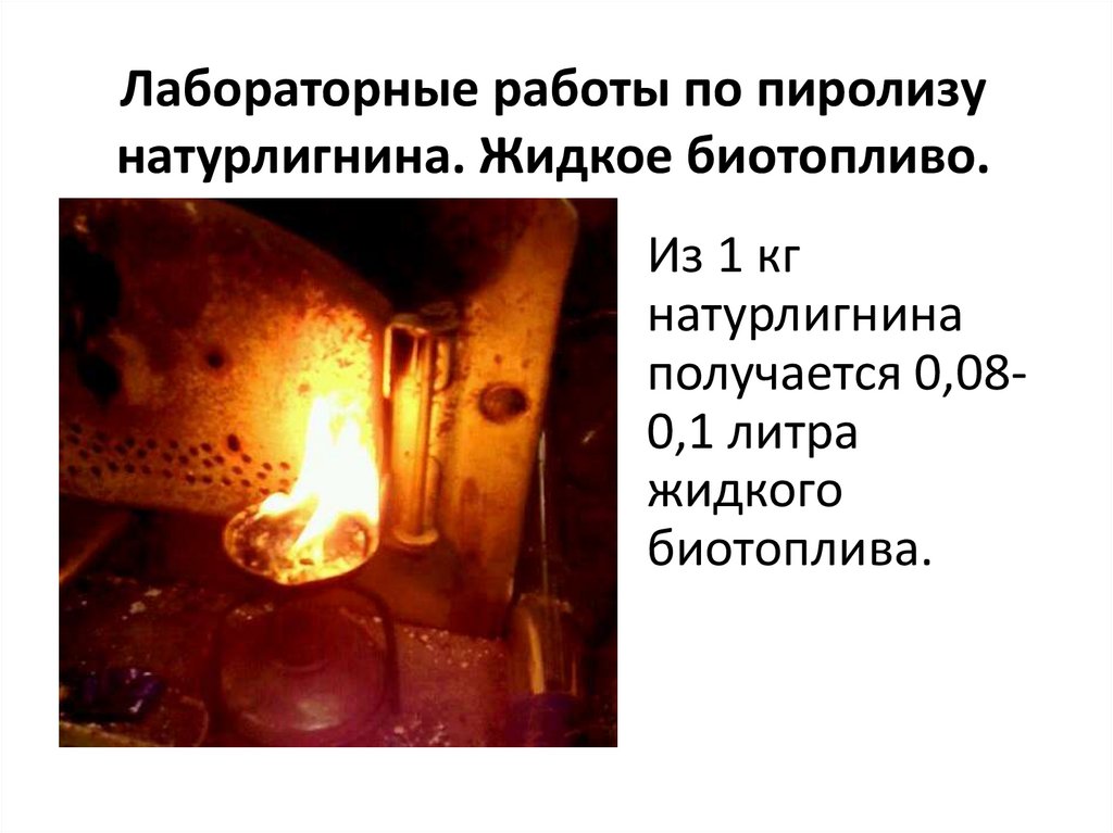 Лабораторные работы по пиролизу натурлигнина. Жидкое биотопливо.