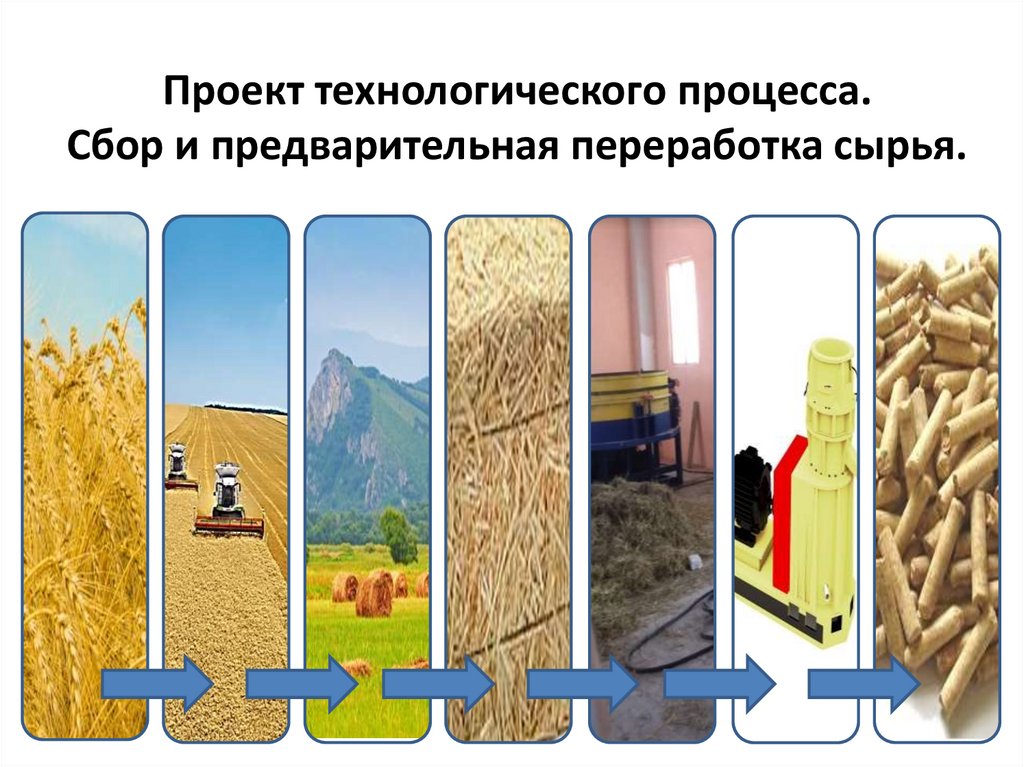 Проект технологического процесса. Сбор и предварительная переработка сырья.