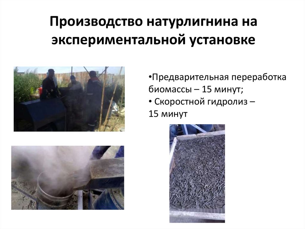 Производство натурлигнина на экспериментальной установке