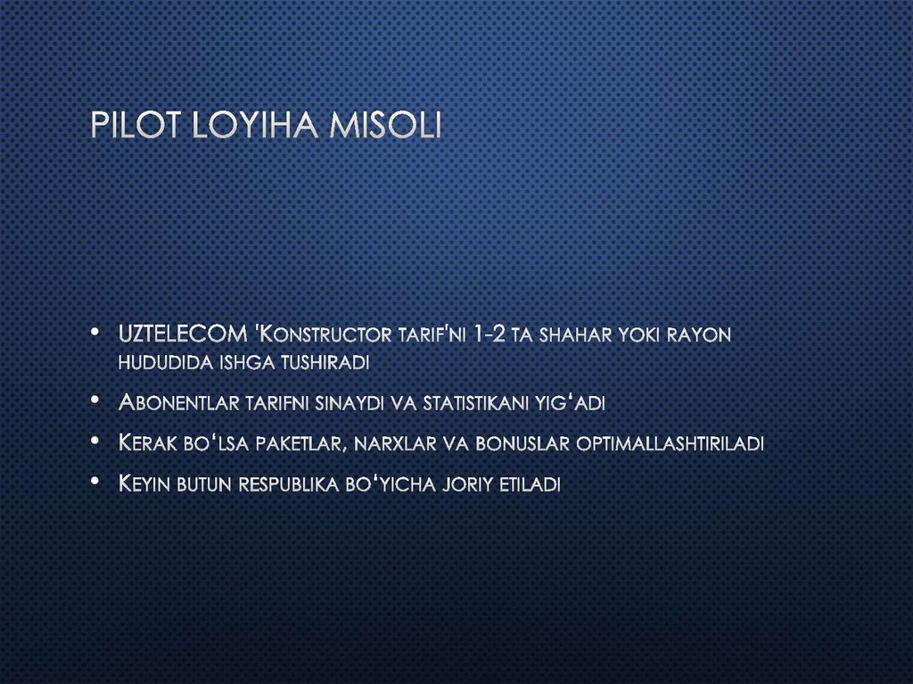 Pilot loyiha misoli