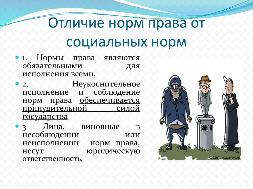 Отличие норм права от социальных норм