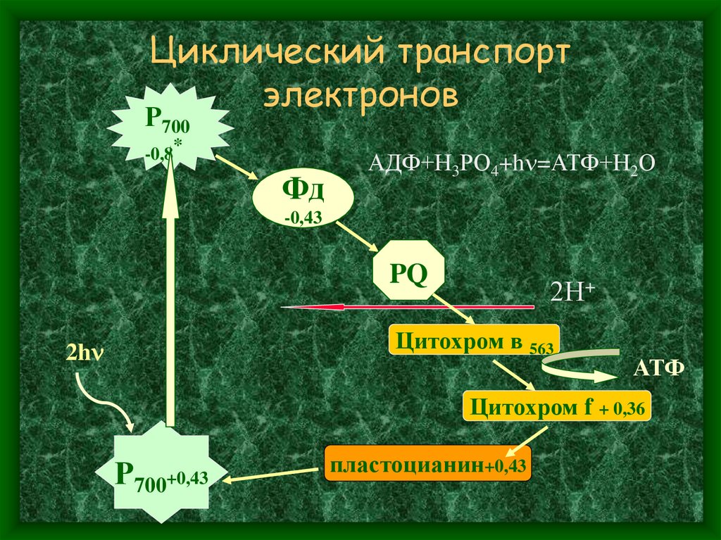 Циклический транспорт электронов