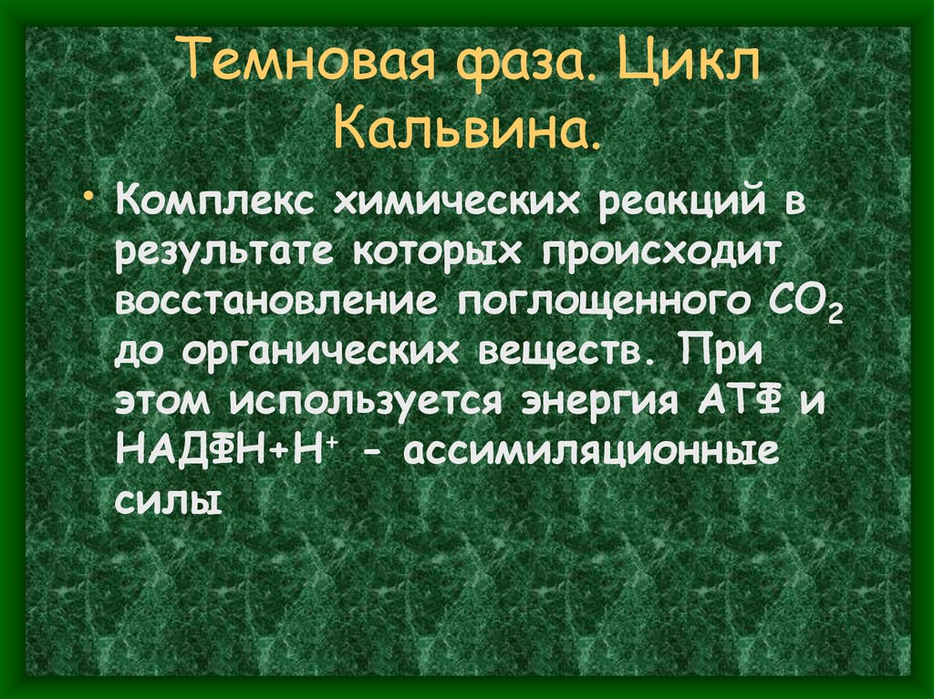 Темновая фаза. Цикл Кальвина.