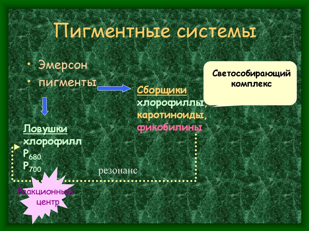 Пигментные системы
