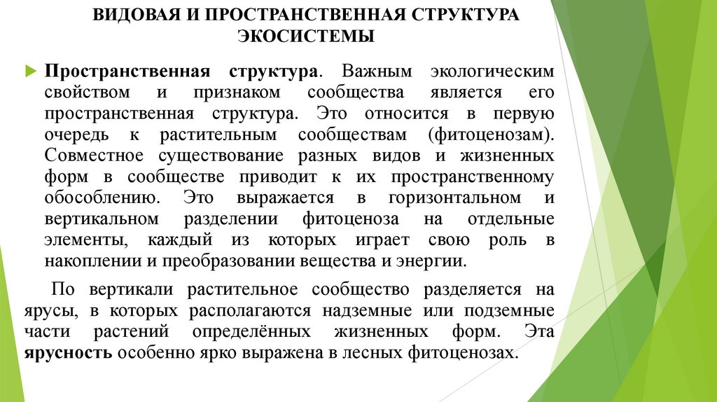 ВИДОВАЯ И ПРОСТРАНСТВЕННАЯ СТРУКТУРА ЭКОСИСТЕМЫ