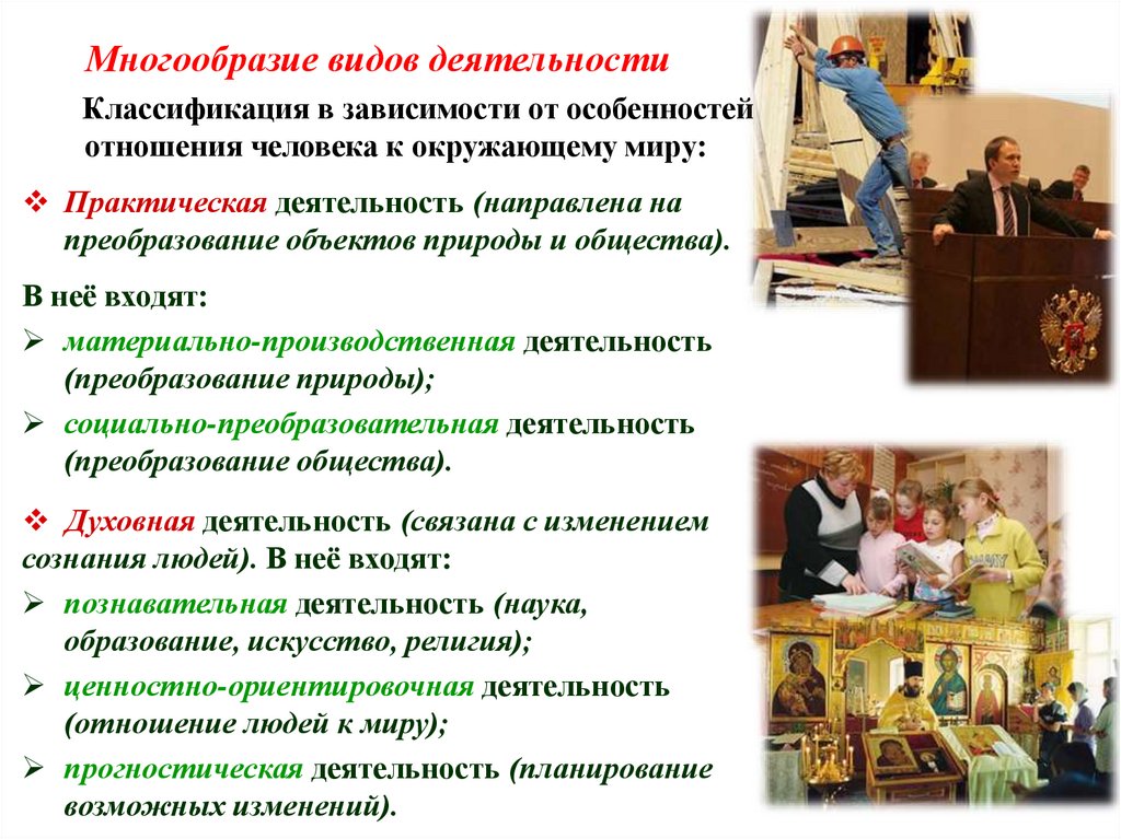 Многообразие видов деятельности